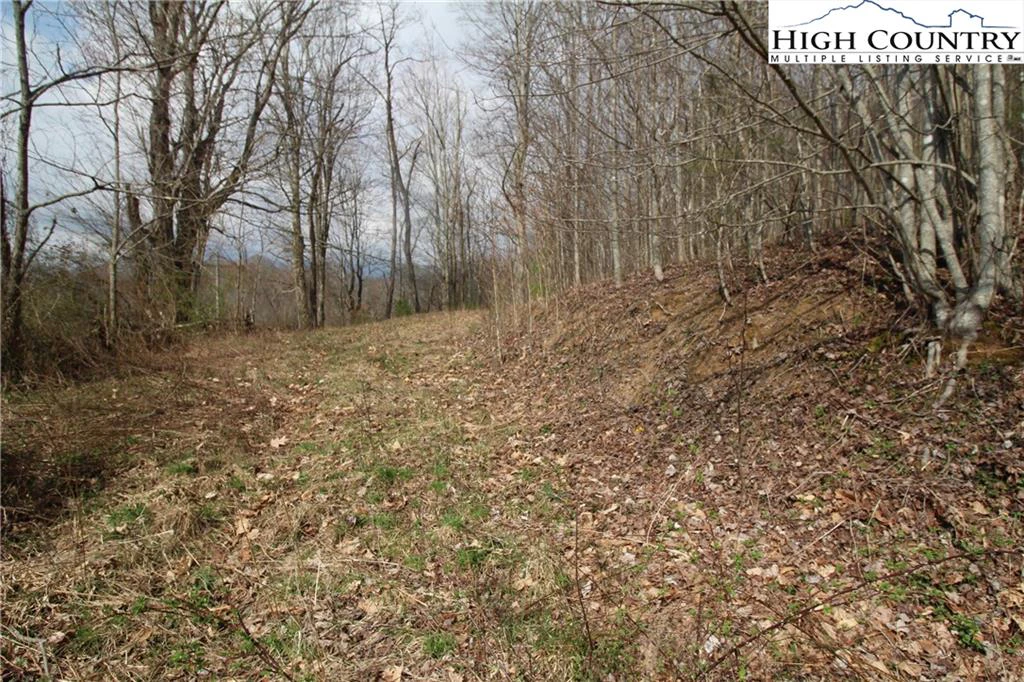 Image number 3 for the current listing
