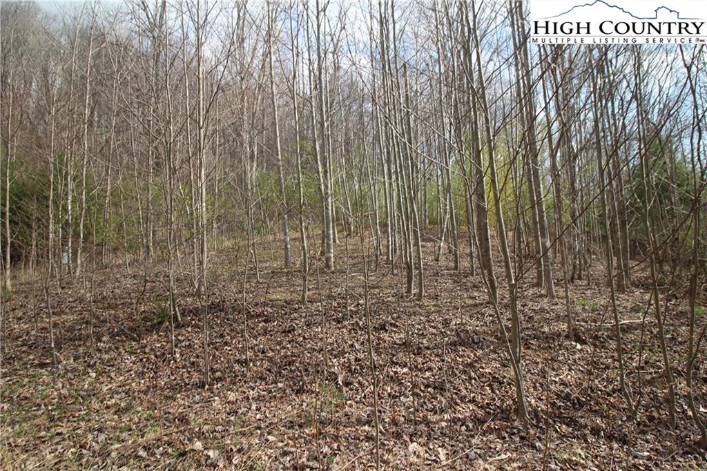 Image number 4 for the current listing