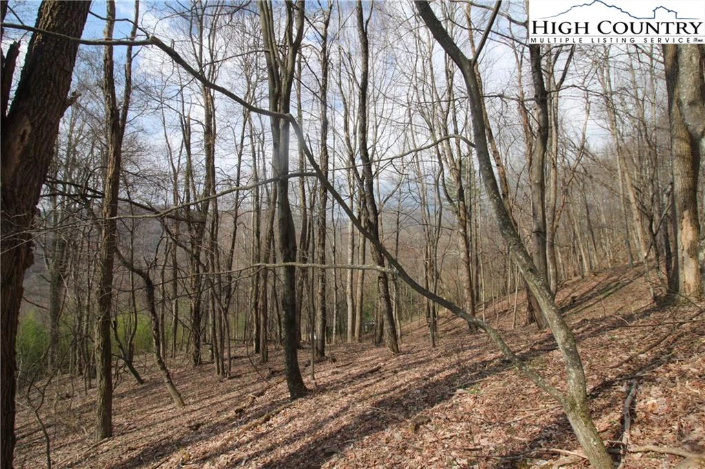 Image number 5 for the current listing