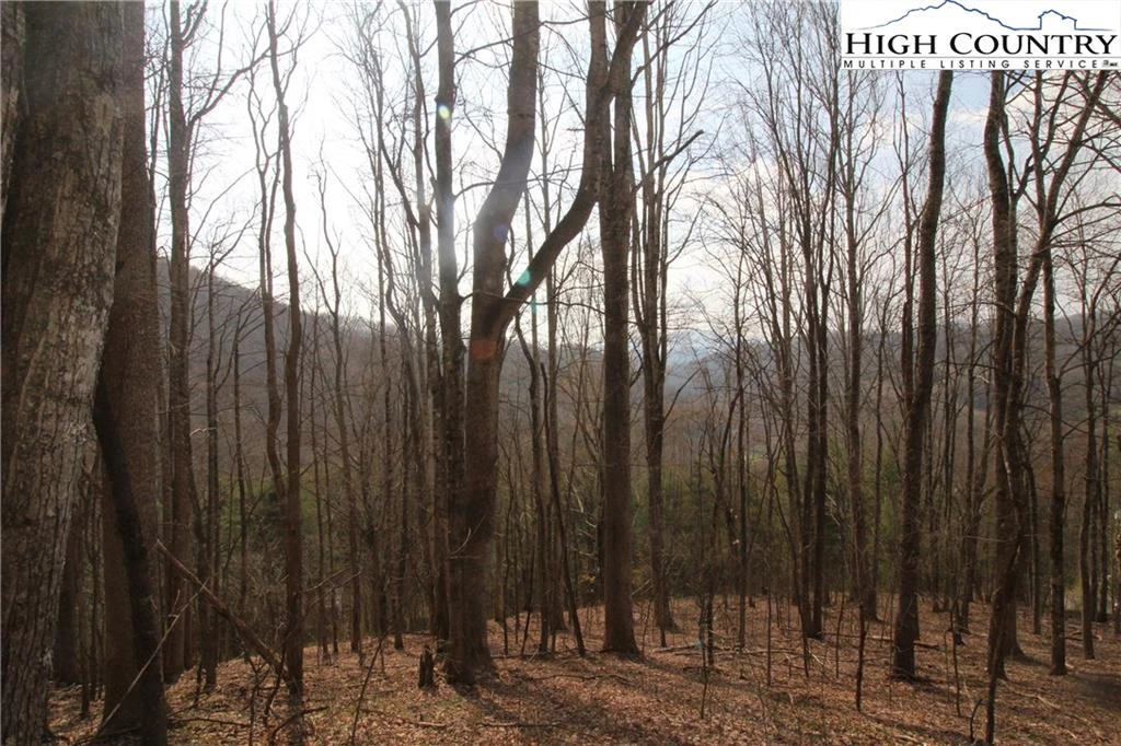 Image number 6 for the current listing