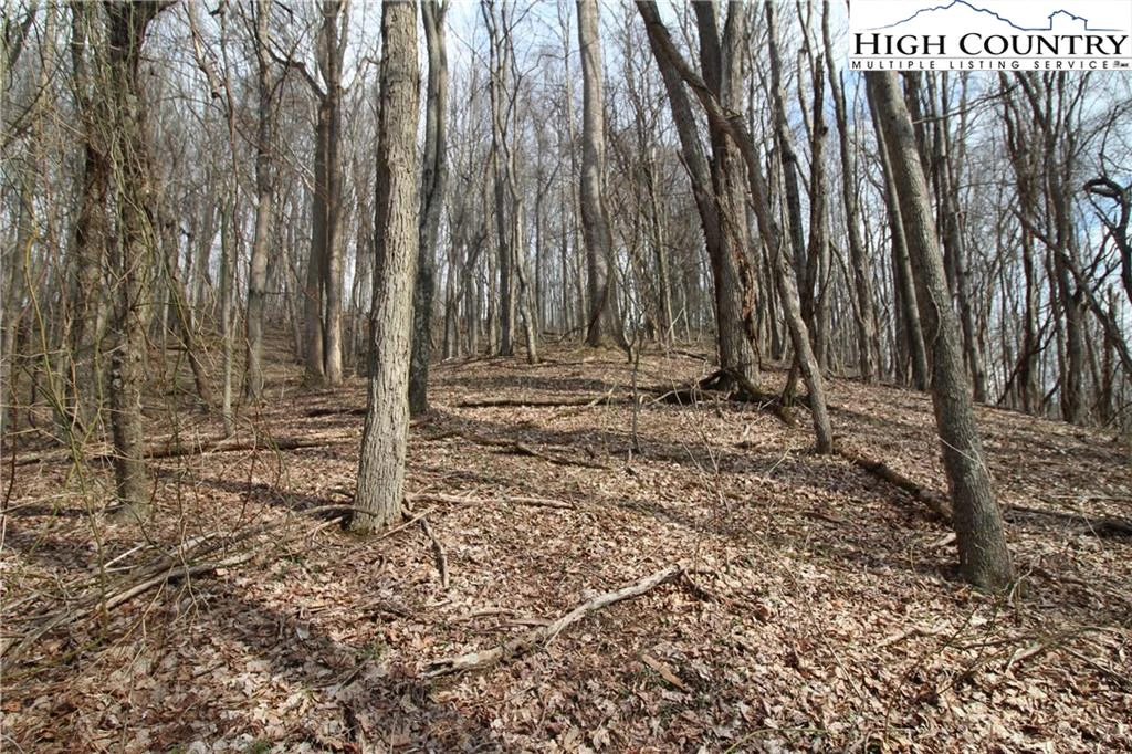 Image number 7 for the current listing