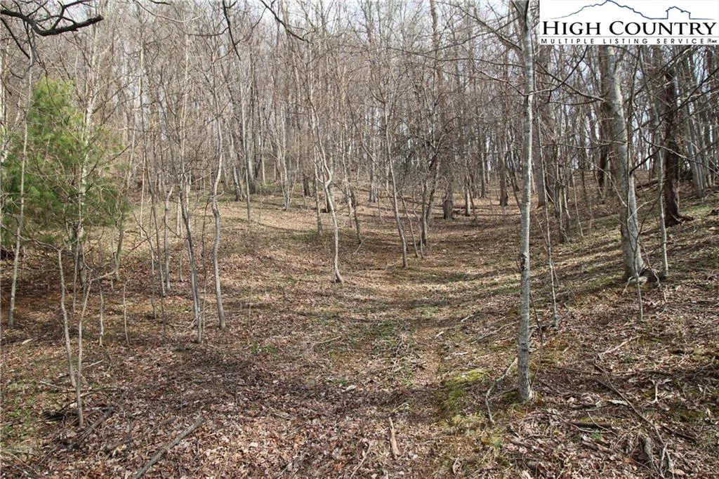 Image number 8 for the current listing