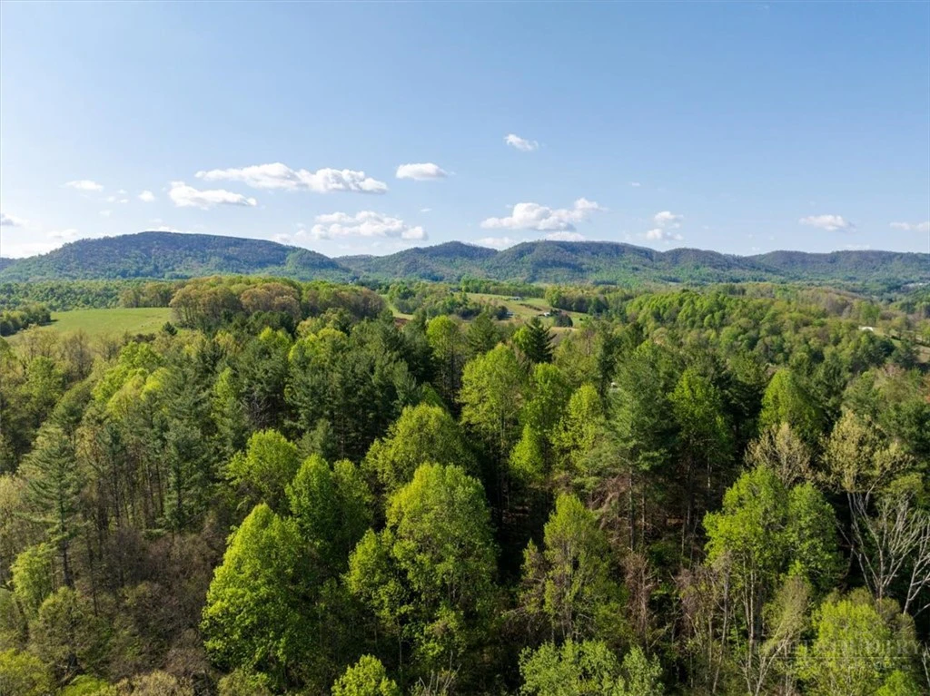 Image number 21 for the current listing