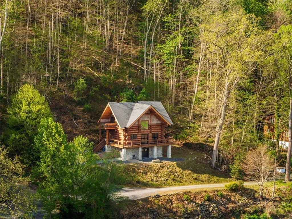 Image number 1 for the current listing