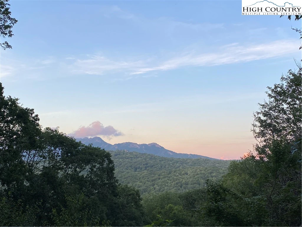 Image number 13 for the current listing