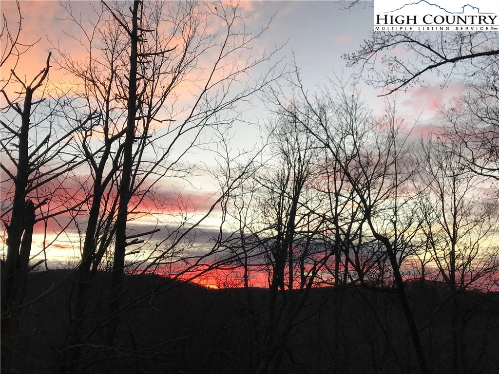 Image number 12 for the current listing