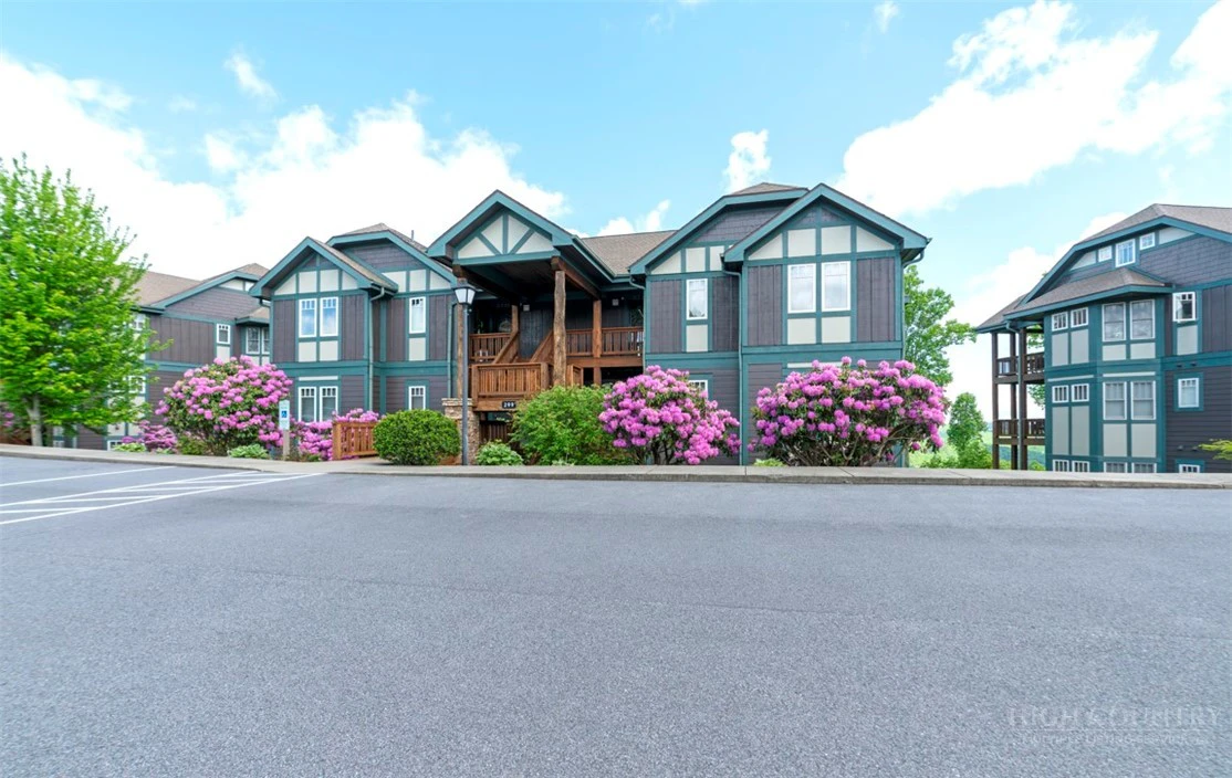 Image number 2 for the current listing