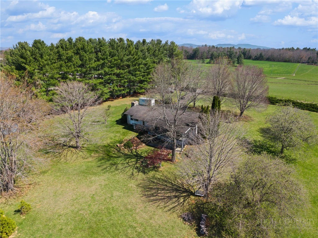Image number 13 for the current listing