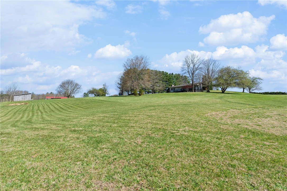 Image number 21 for the current listing