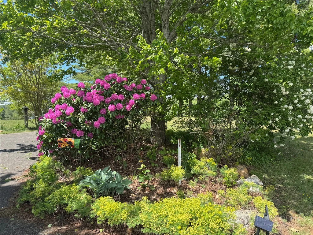 Image number 11 for the current listing