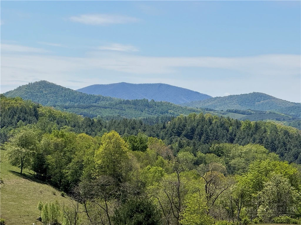 Image number 1 for the current listing