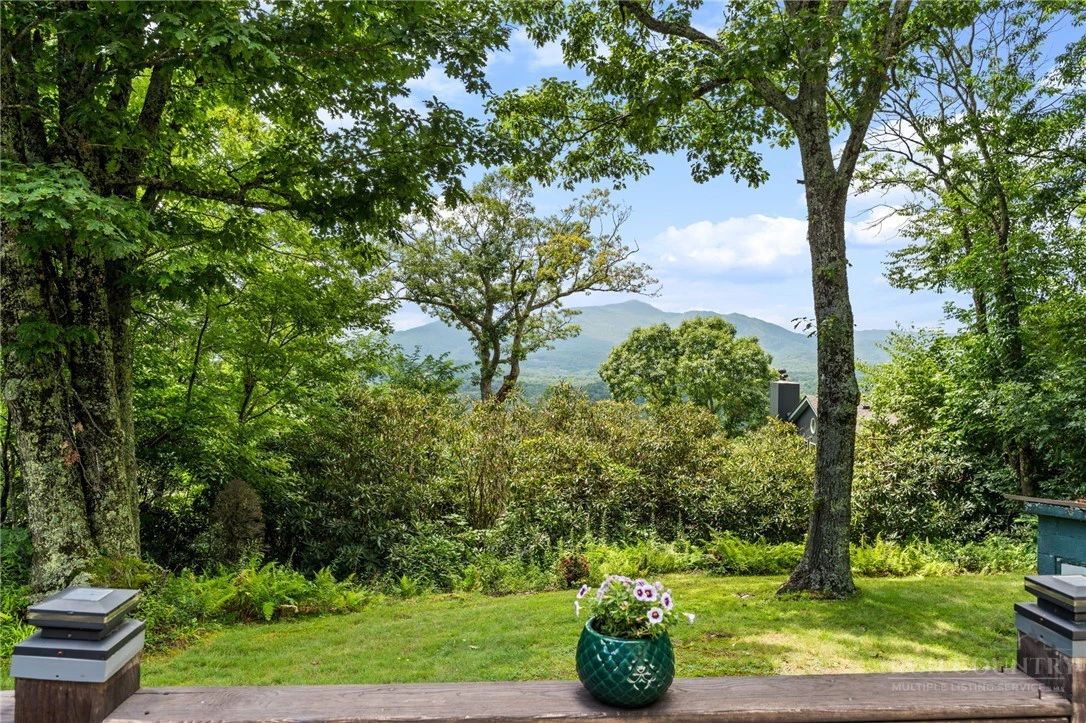 Image number 2 for the current listing