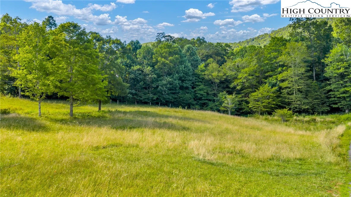 Image number 2 for the current listing
