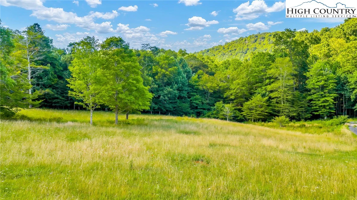 Image number 1 for the current listing