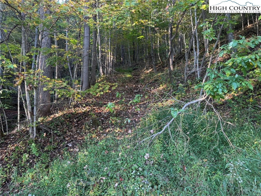 Image number 16 for the current listing