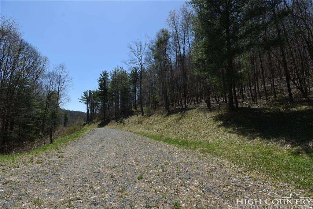 Image number 2 for the current listing
