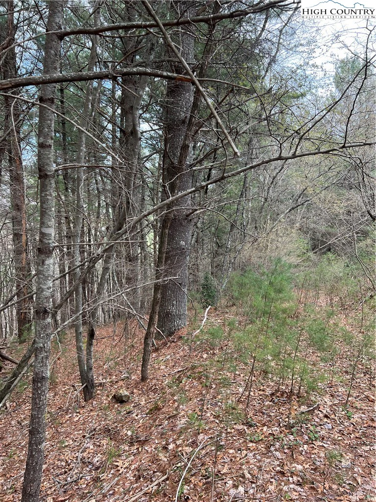 Image number 3 for the current listing
