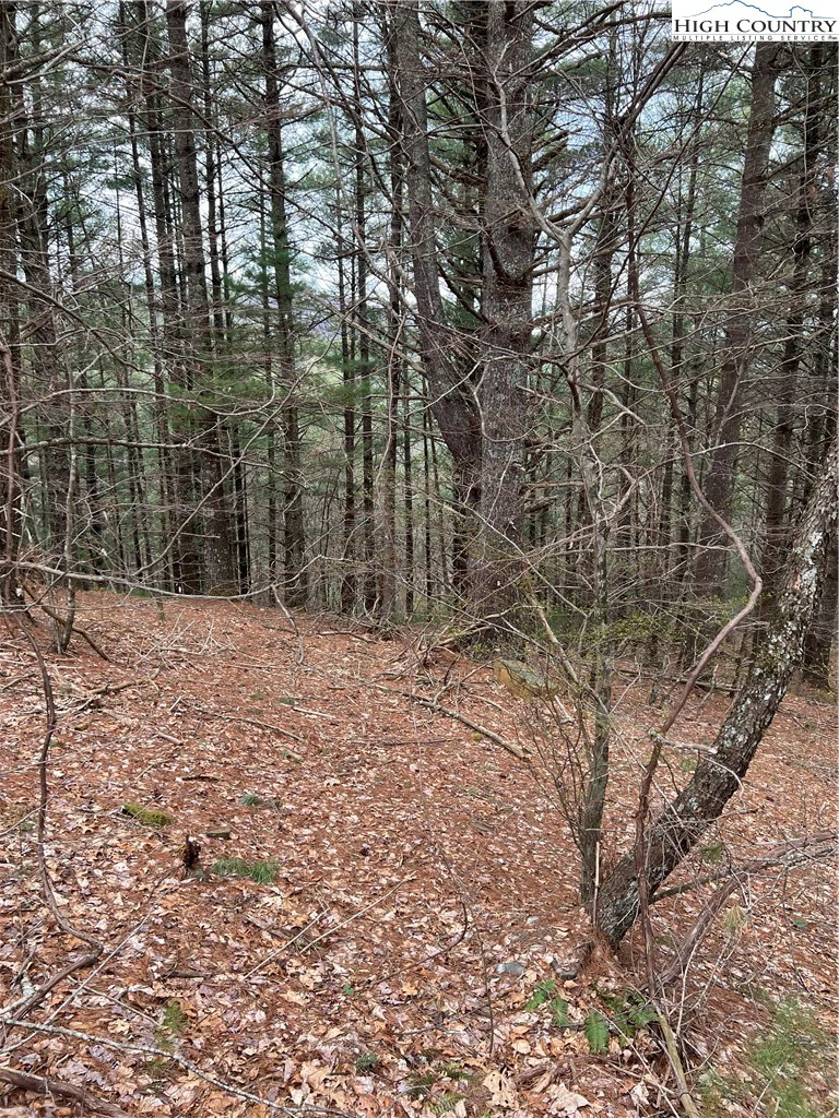 Image number 5 for the current listing