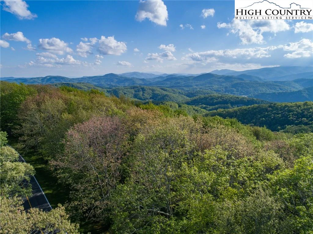 Image number 1 for the current listing