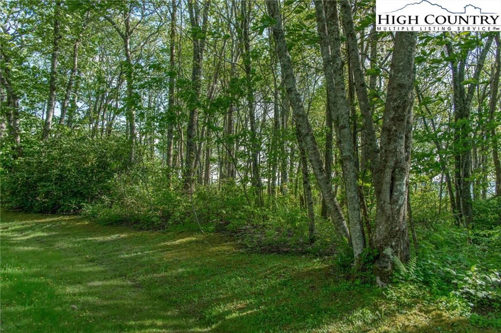 Image number 4 for the current listing