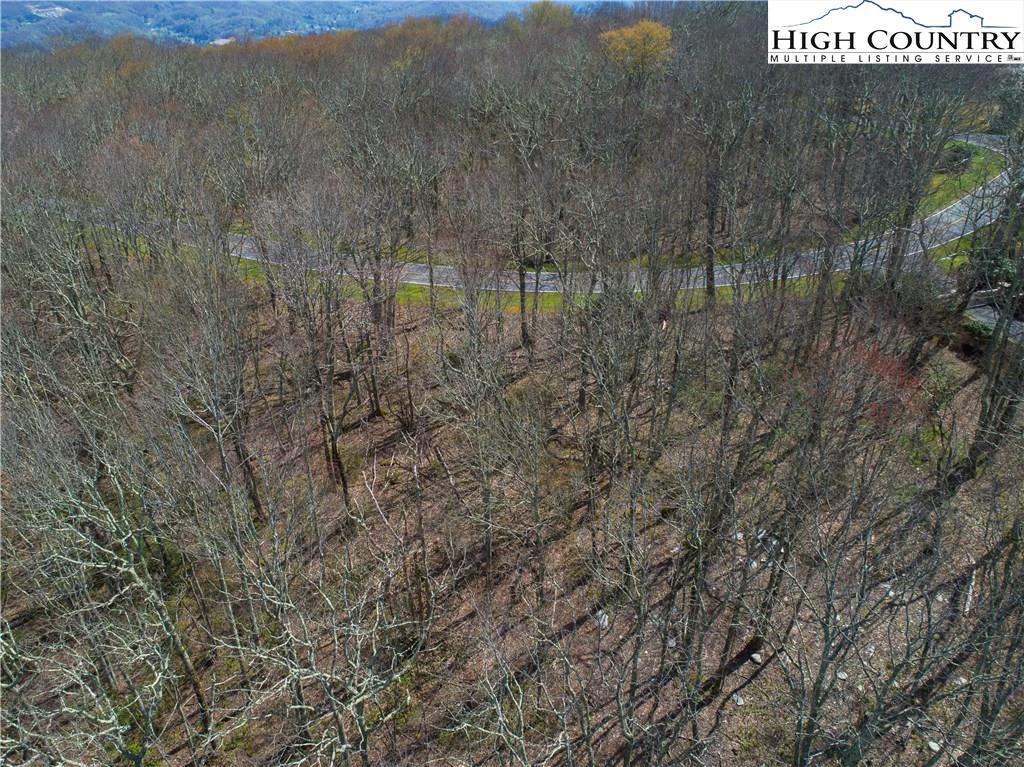 Image number 3 for the current listing