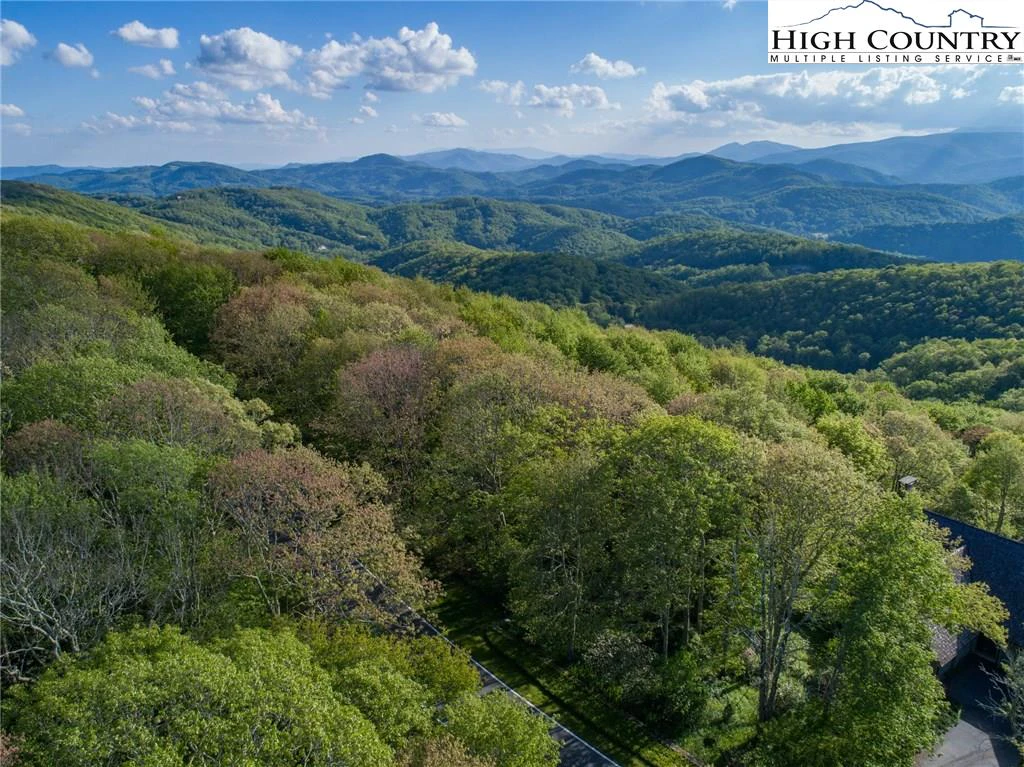 Image number 16 for the current listing