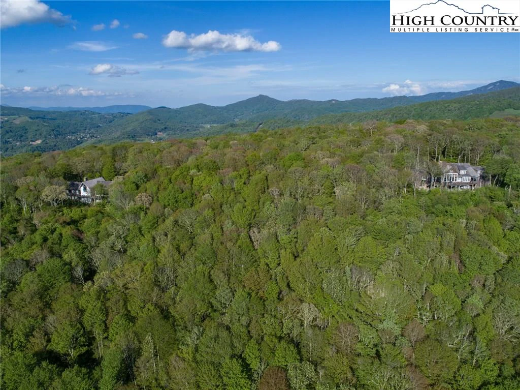 Image number 12 for the current listing
