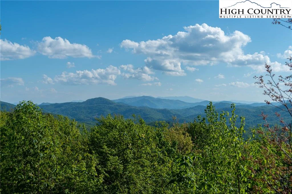 Image number 2 for the current listing
