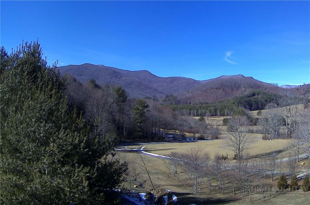 Image number 1 for the current listing