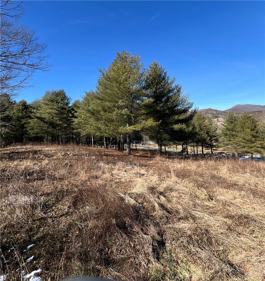 Image number 10 for the current listing