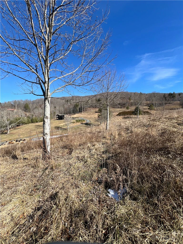 Image number 11 for the current listing