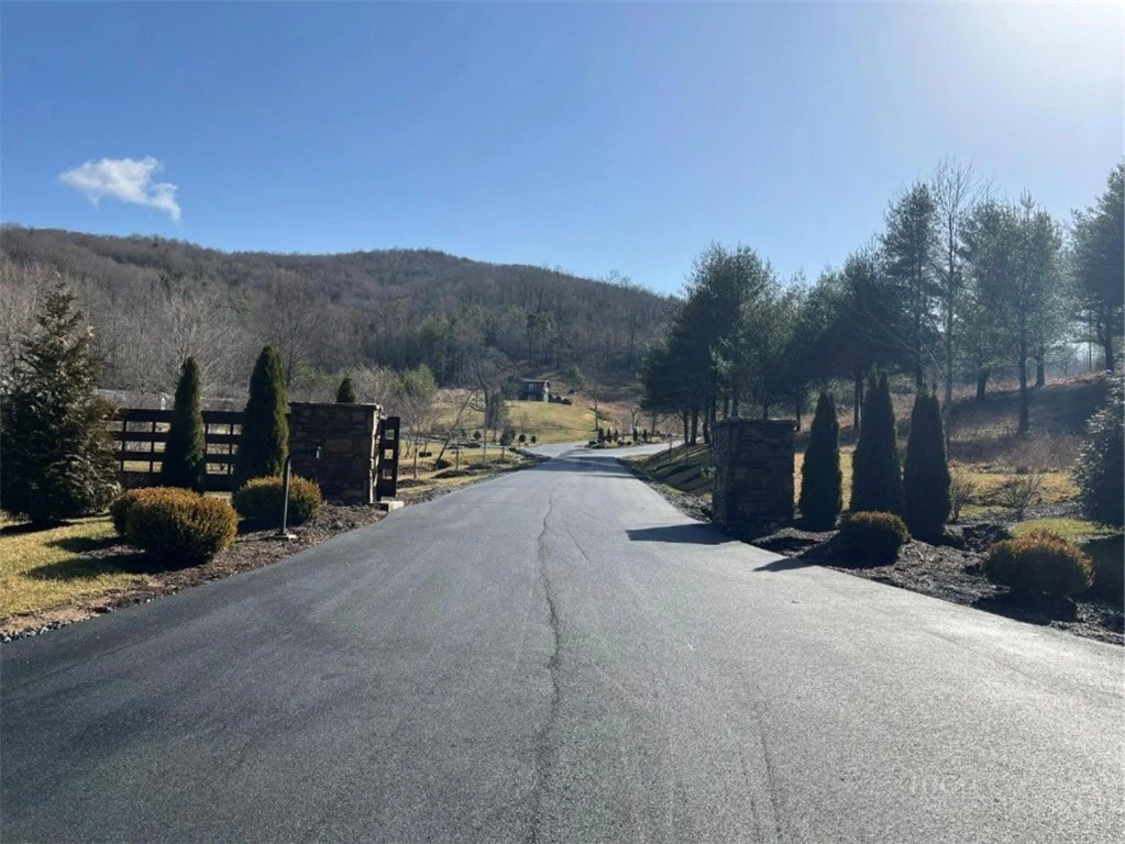 Image number 4 for the current listing