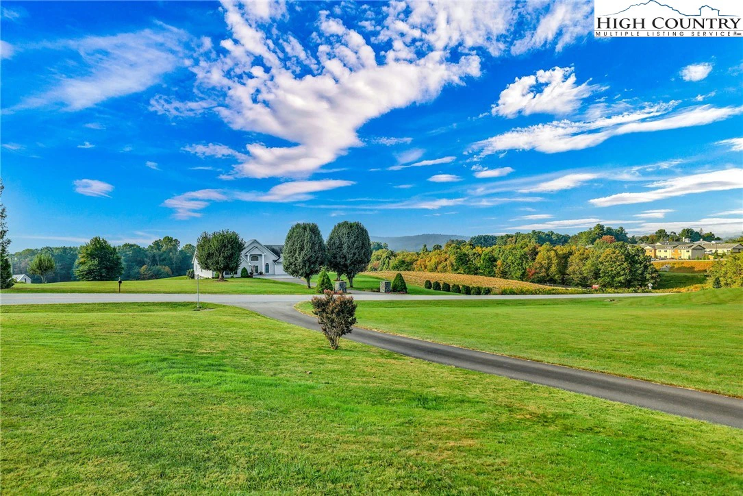 Image number 7 for the current listing