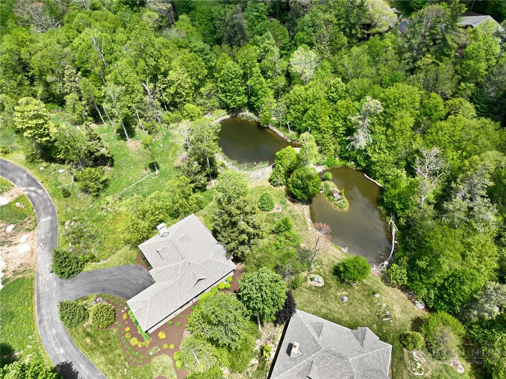 Image number 13 for the current listing