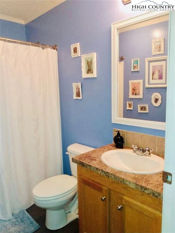 Image number 3 for the current listing