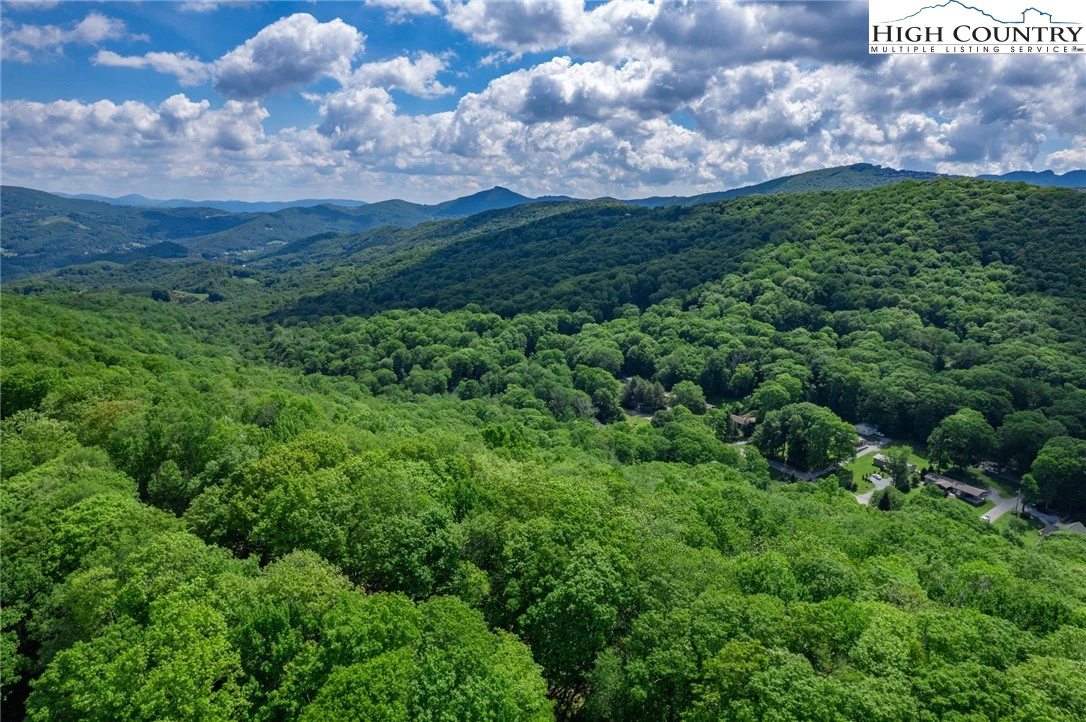 Image number 1 for the current listing