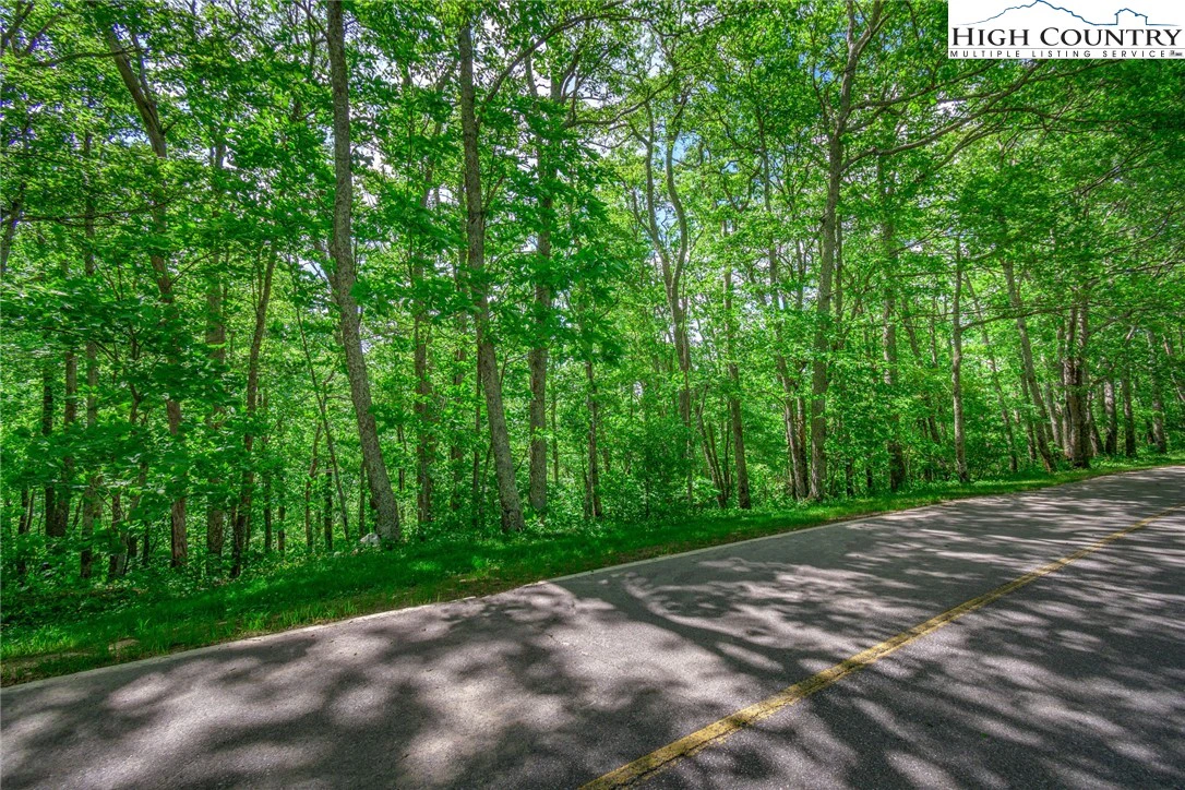 Image number 11 for the current listing