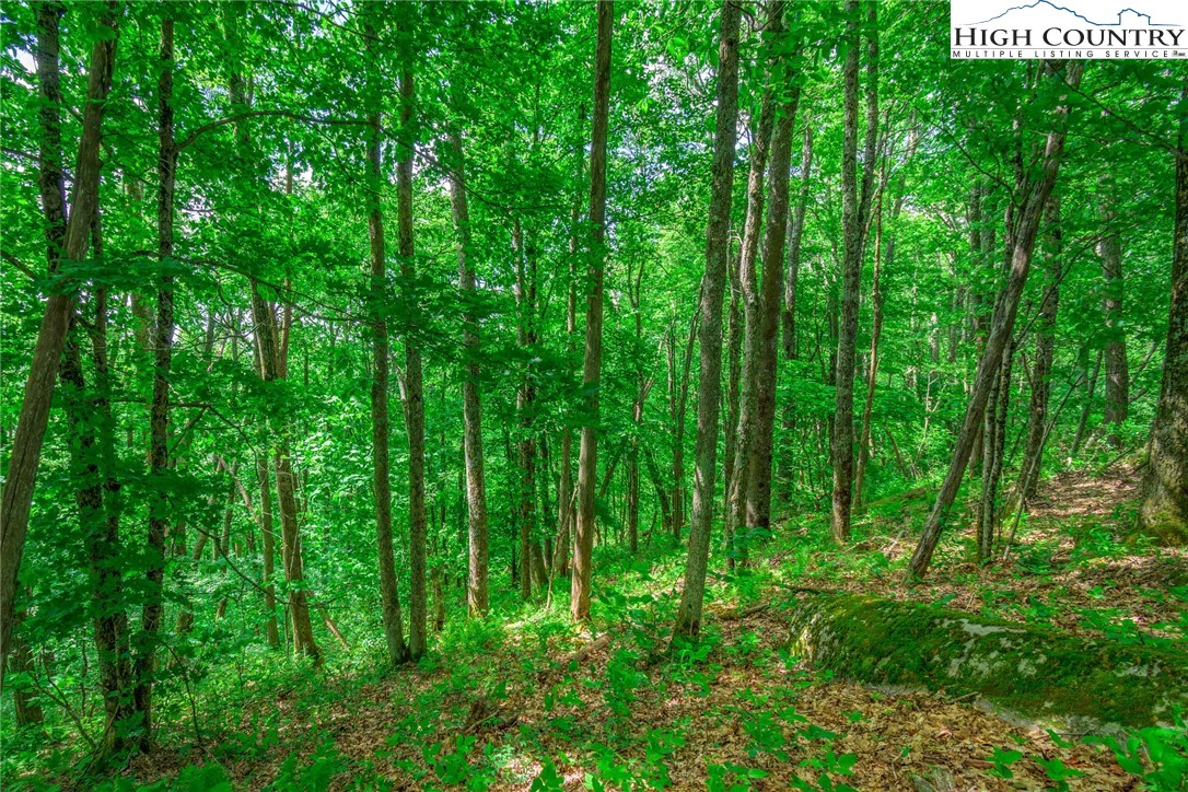 Image number 16 for the current listing