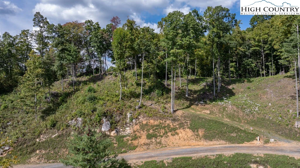 Image number 1 for the current listing