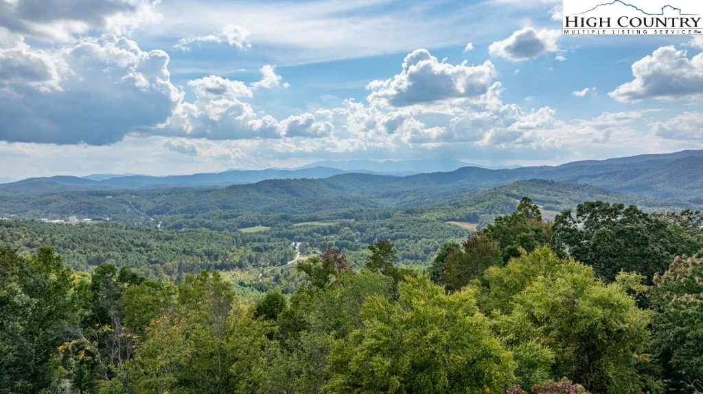 Image number 2 for the current listing
