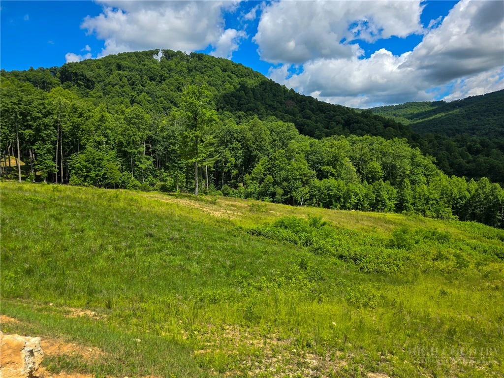 Image number 2 for the current listing