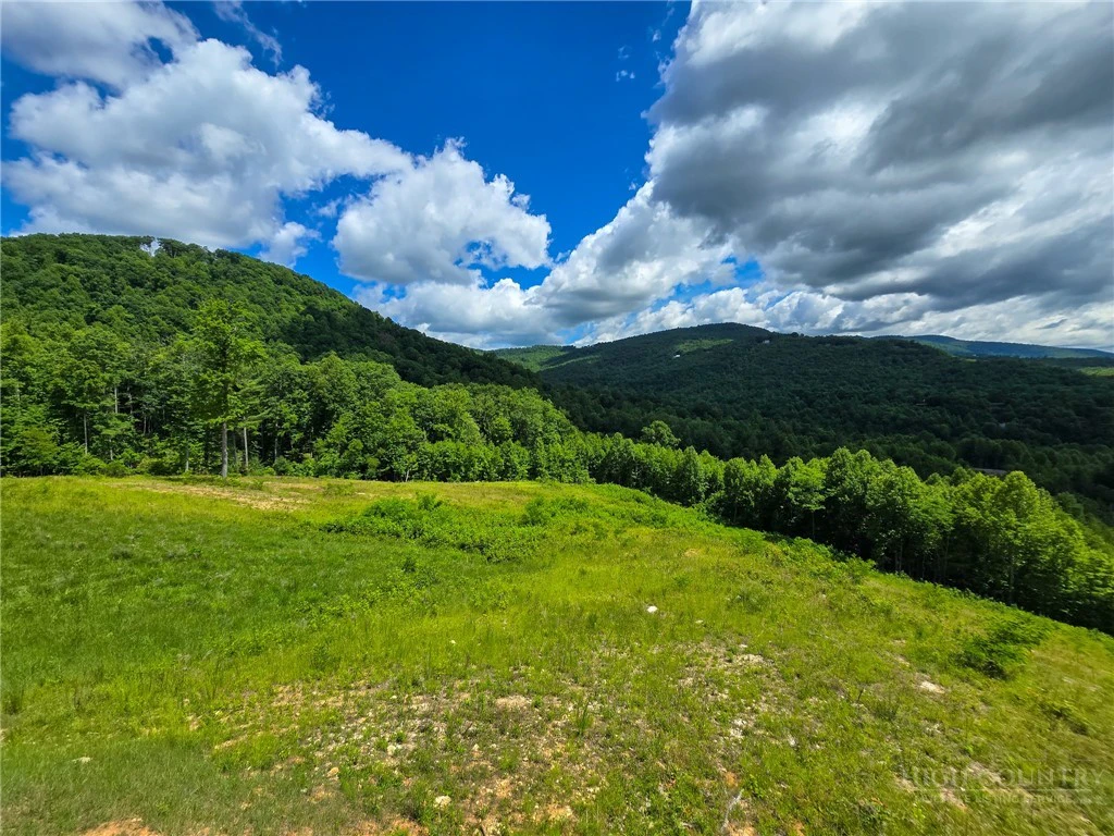 Image number 3 for the current listing