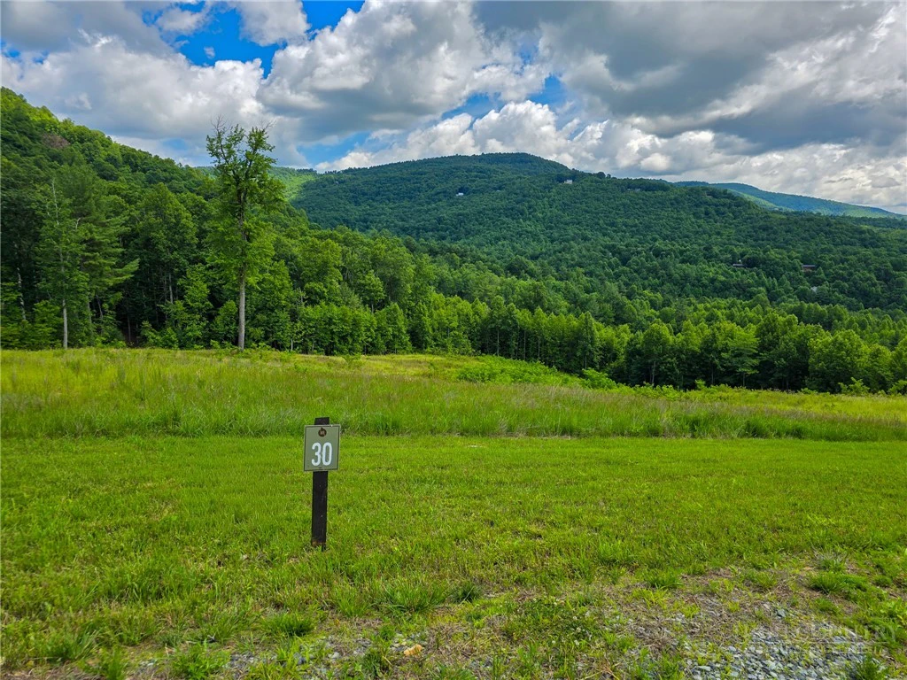 Image number 6 for the current listing