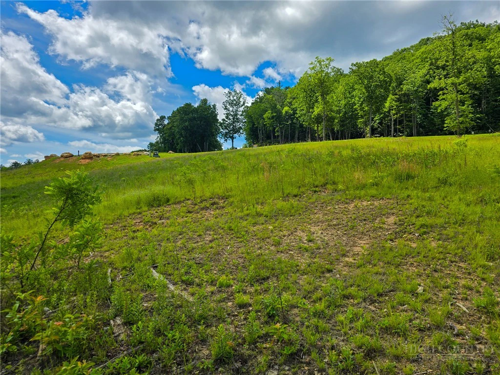 Image number 7 for the current listing