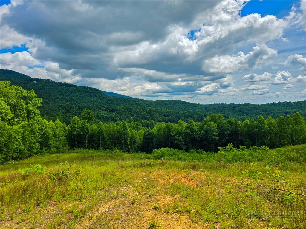 Image number 9 for the current listing