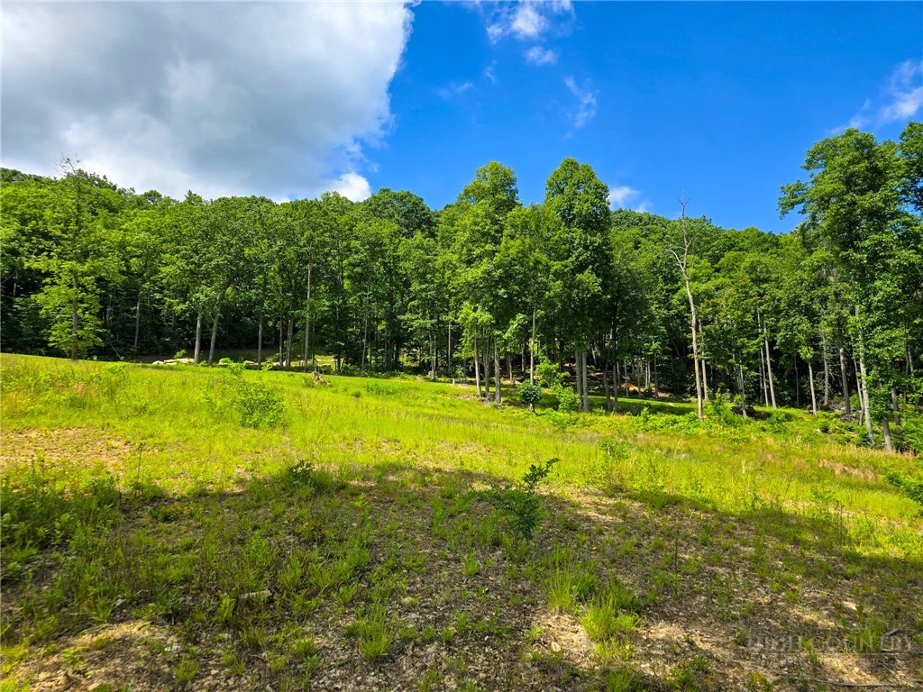 Image number 11 for the current listing