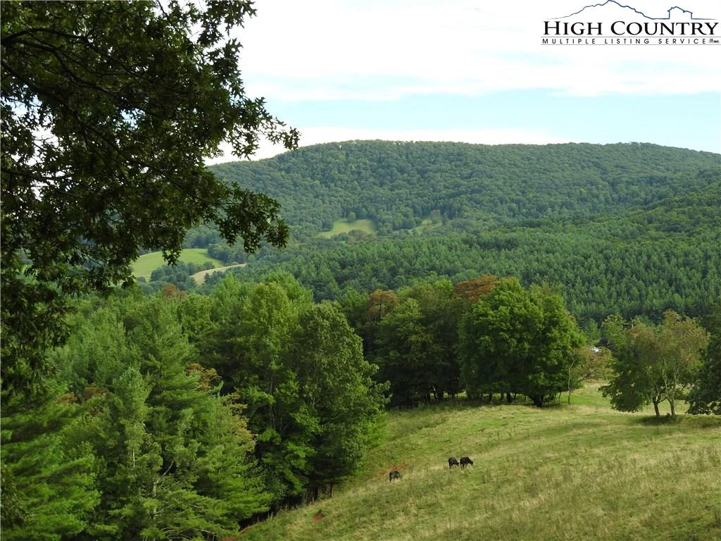 Image number 17 for the current listing