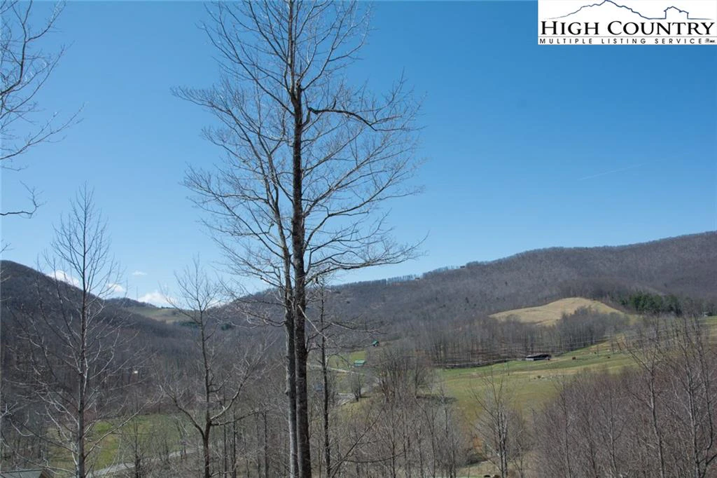 Image number 16 for the current listing