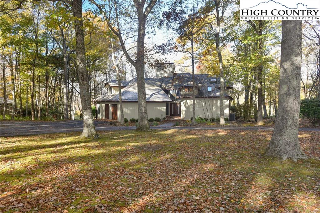 Image number 1 for the current listing