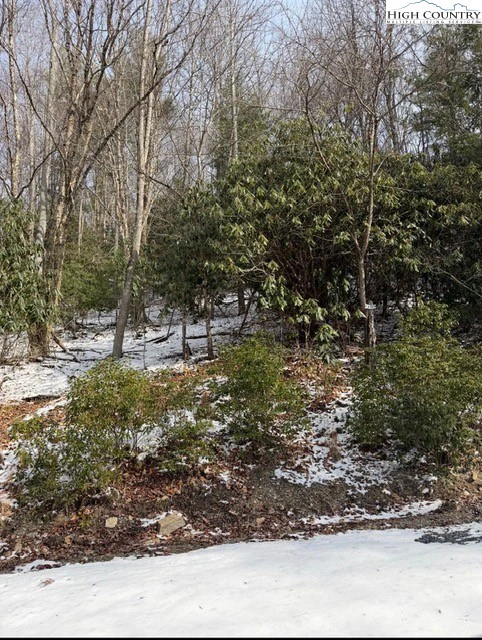 Image number 1 for the current listing